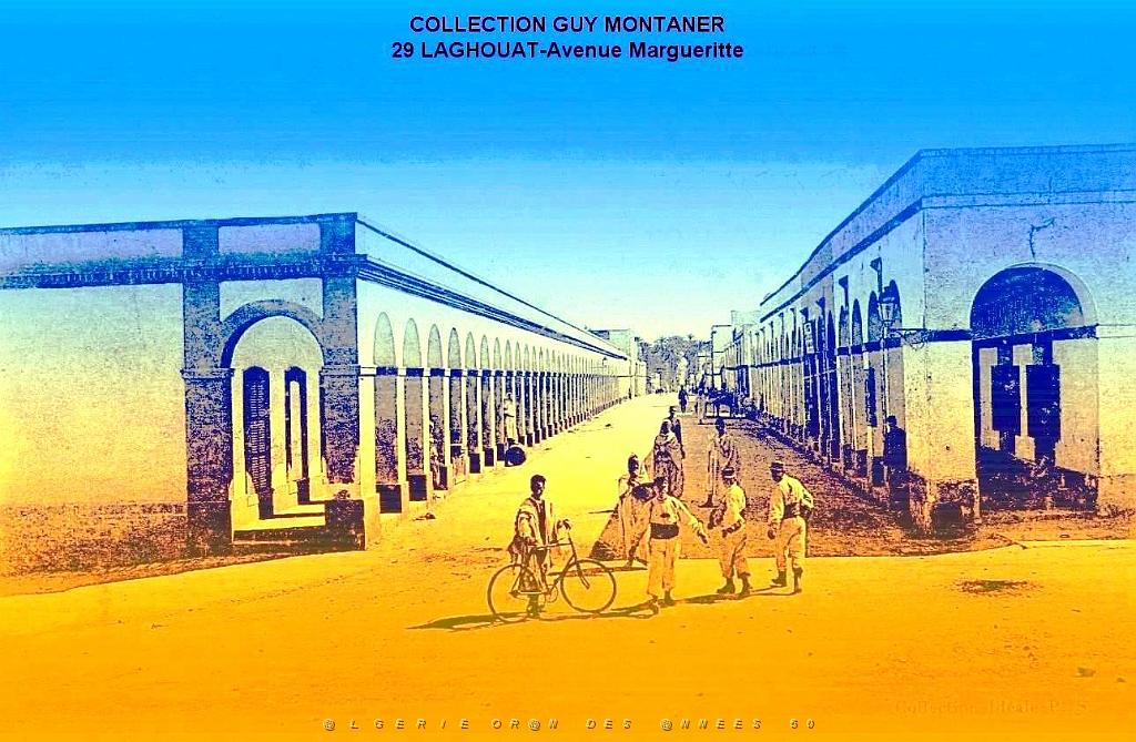 Laghouat - Avenue Margueritte- Collection Montaner.jpg